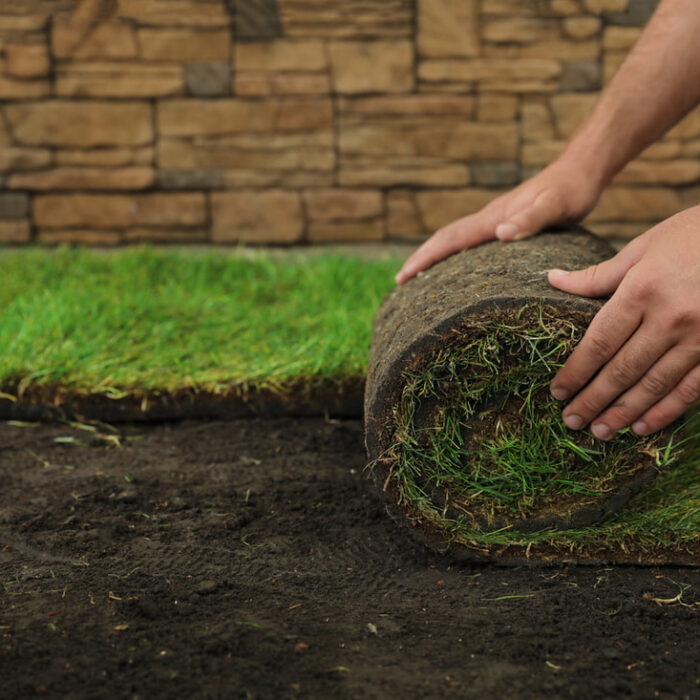 laying-artificial-turf-on-dirt