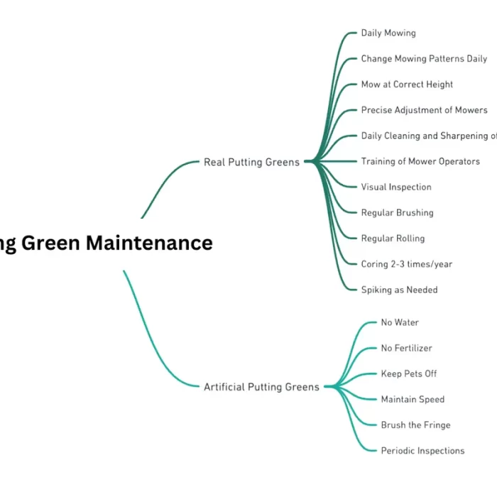 putting green maintenance mind map real vs artificial greens