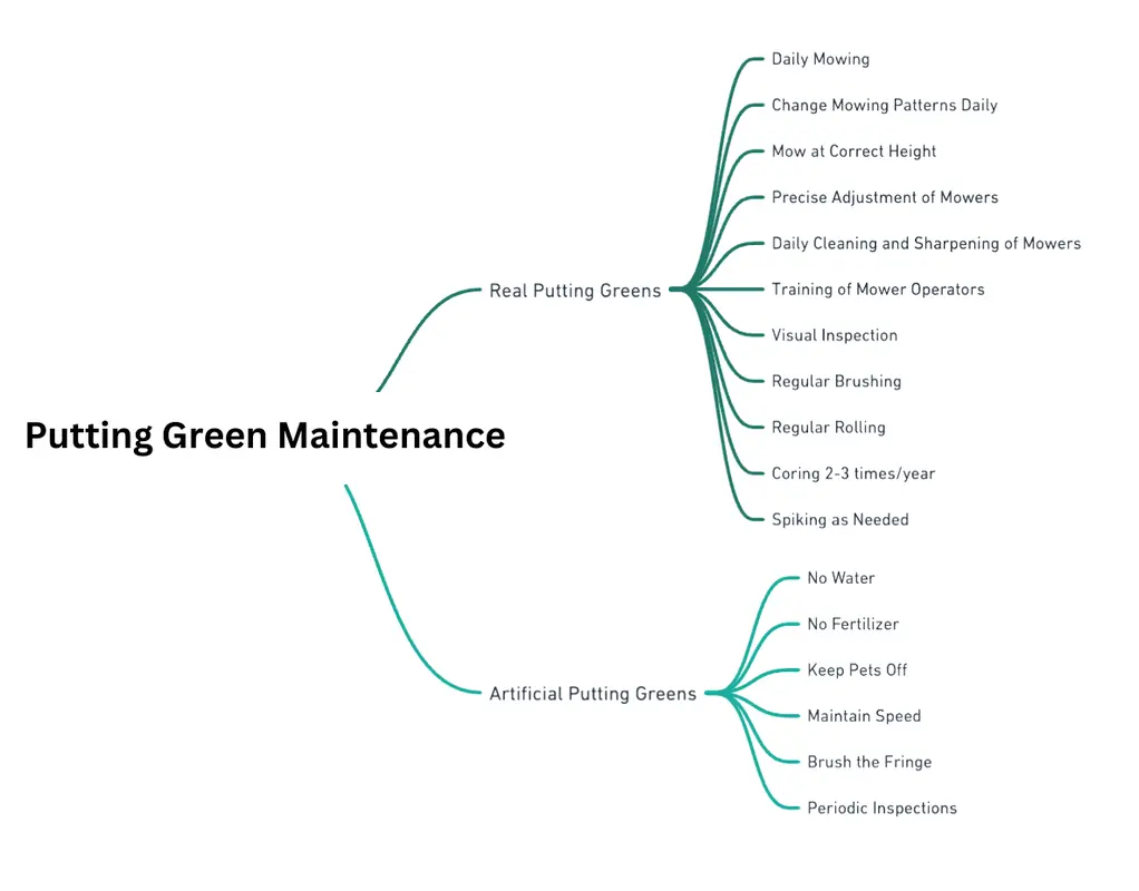 putting green maintenance mind map real vs artificial greens