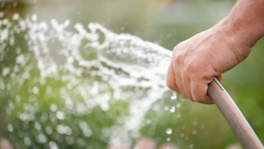 watering the lawn